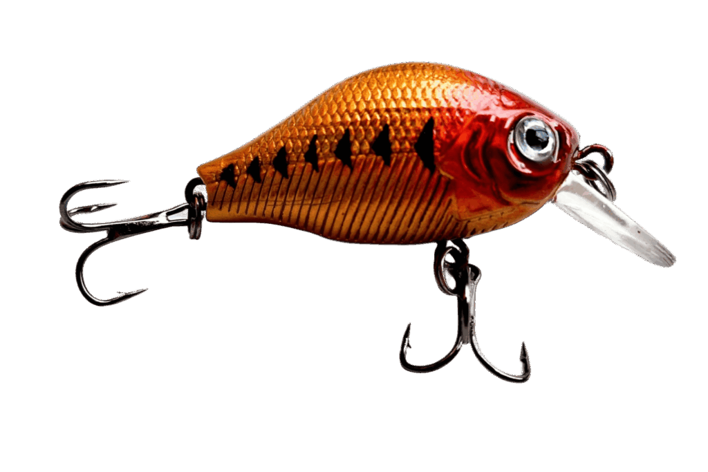 Red Belly – Crankbait Spinning