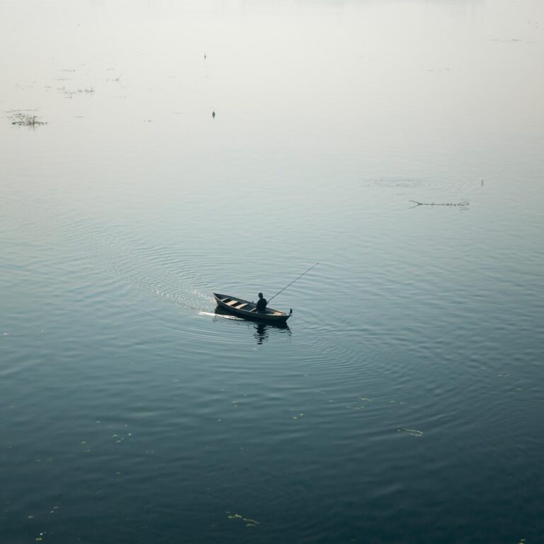 Lugares para pescar en Guanajuato